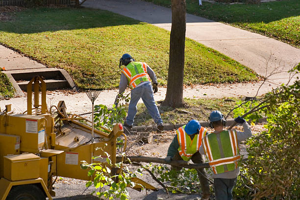 Best Lawn Pest Prevention  in Lincolnshire, IL